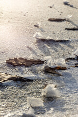 A detailed macro photograph of delicate snow crystals,