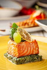 Modern Ukrainian Salmon Fine Dining Dish