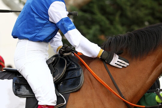 Jinete acariciando a su caballo purasangre en hip&oacute;dromo