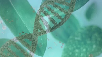 Animation of dna strand spinning over leaves - Powered by Adobe