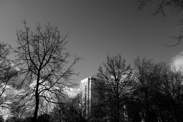 High residential building view from public park. Black and white