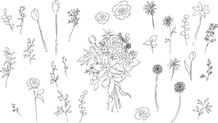 手描きの草木イラスト。植物のベクター背景イラスト。植物フレーム。Hand drawn plant illustration. Botanical vector background illustration. Plant frame.