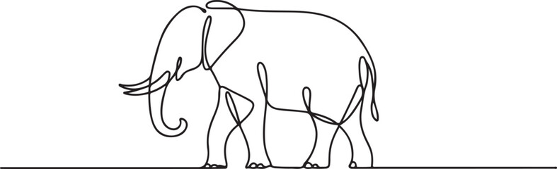 Obraz premium One line drawing, elephant vector illustration.one line vector illustration with out background