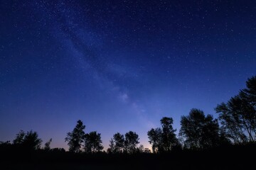 Silhouetted tree crowns beneath a star-filled summer night sky