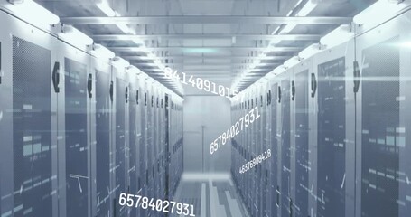Animation of numbers and data processing over computer servers - Powered by Adobe