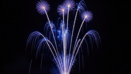 Elegant blue and white fountain fireworks shooting upward in dark sky creates graceful arcs and spherical bursts resembling glowing flowers during sophisticated evening celebration light performance