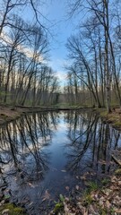 Obraz premium Serene Forest Reflection in Calm Water Nature Tranquil Trees. Concept featuring forest, reflection, water, nature, tranquil.