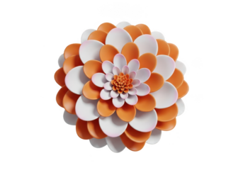 Orange and white flower isolated on white background