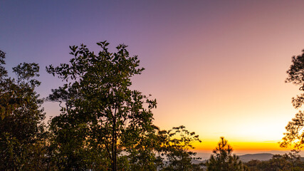 A peaceful sunrise over the high mountains of Phu Ruea National Park, where soft golden light filters through tall pine trees, creating a calm and refreshing natural atmosphere.