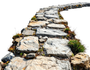 Stone path winding uphill with small plants and grass