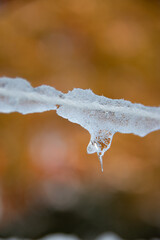 Focus sur une cordelette gelée entourée de glace, format portrait © Johanna