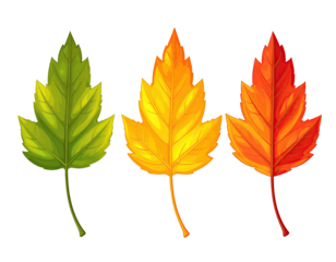 Three stylized leaves transitioning through green, gold, and red hues
