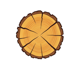 Top View Of A Circular Wood Log Slice With Visible Tree Rings And Dark Bark