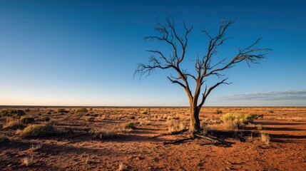 Fototapeta premium Solitary tree in a harsh desert wilderness with ash-red earth