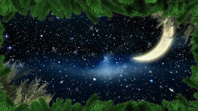 Animation of fir tree frame over snow falling