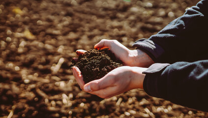 Hand of expert farmer collect soil. Farmer is checking soil quality before sowing. Ecology concept. © maxbelchenko