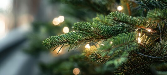 The Christmas tree branch with warm bokeh lights and evergreen needles