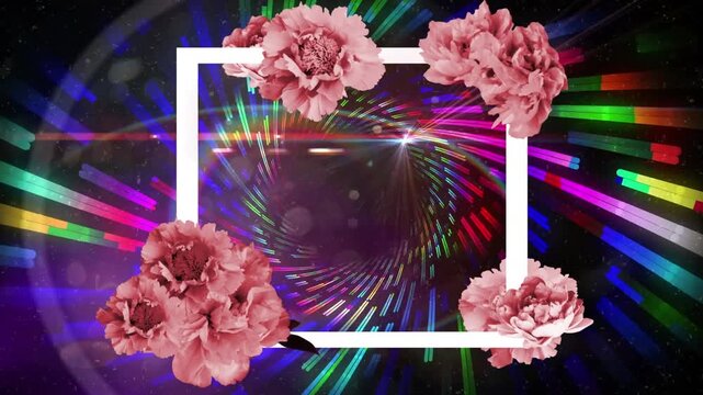 Animation of frame with flowers over colourful lines on black background