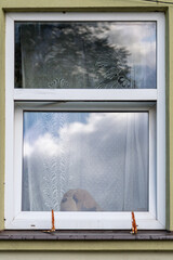 Obraz premium Dog toy looking out from a window at a cloudy day in a suburban neighborhood