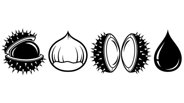 Horse chestnut nut stages and oil drop icon set in black and white vector