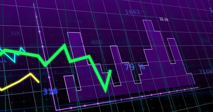 On loading violet grid, colored line graphs and histogram bars animating to show data trends