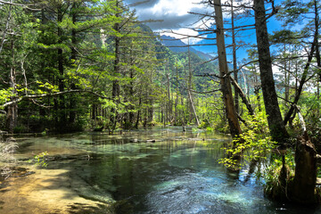 Calm freshwater river with clear stream and shoreline vegetation © Tobias B. Grun