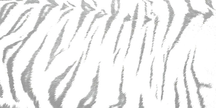 Modern abstract seamless gray tiger stripe pattern on a clean white background