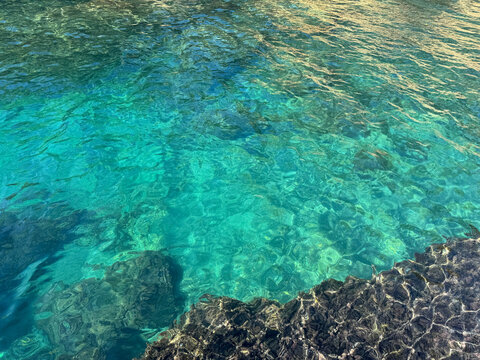 Perfect sea clear water with algae.