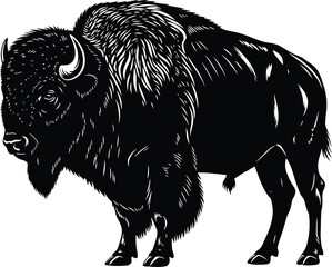 Obraz premium American Bison Wild Animal Illustration Vector