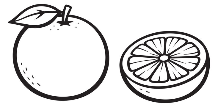 Hand drawn line art orange fruit set featuring a whole orange with a leaf and a sliced orange for healthy food design