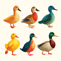 set of ducks