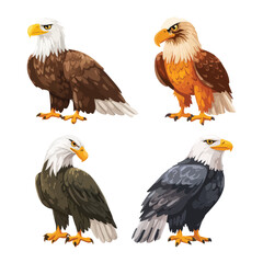 eagle vector