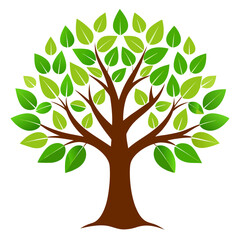 Obraz premium Tree illustration stylized green leaves in bright lighting on white background for nature and growth themes