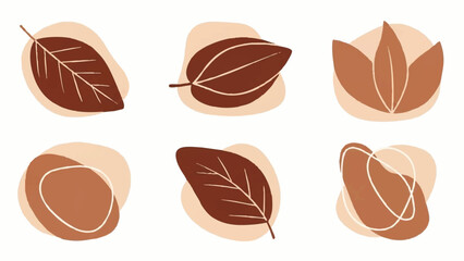 Collection of Various Brown Leaves Illustration.