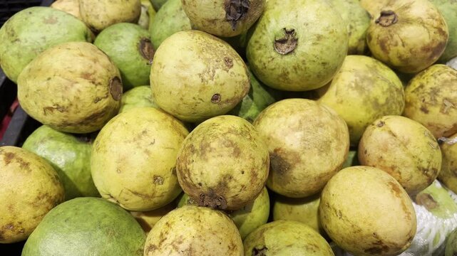 Fresh Guavas Fruits Pile