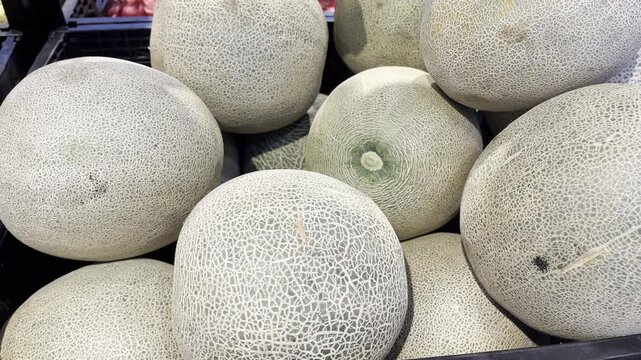 Fresh Cantaloupes on Display