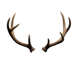Fototapeta premium A pair of deer antlers displayed on a white surface