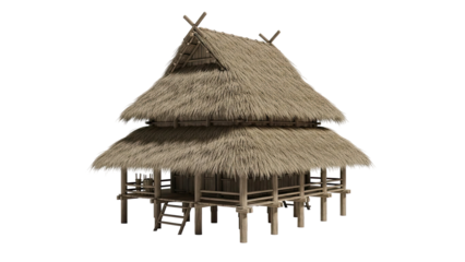 Traditional Thatched Roof House on Stilts