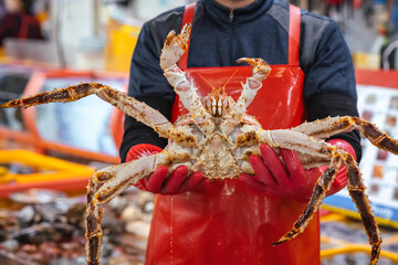 Fisherman holds a whole fresh Alaskan red king crab (Taraba) with red gloves inside a fish seafood market in Busan, South Korea, showing its belly and large claws and legs © NIIIMAGE