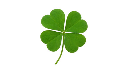 Happy st patricks day a single four leaf clover with a stem in green shades on a white ready for compositing on white and transparent background