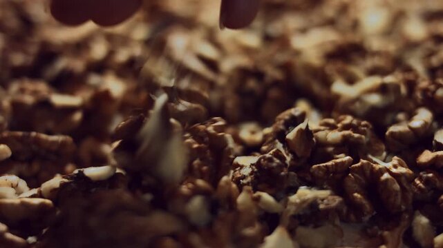 Female hand arranging walnut kernels in the process of production