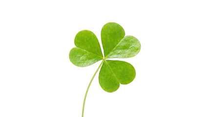 Happy st patricks day a single bright green shamrock with three leaves and a stem on a white background for luck product shot isolated