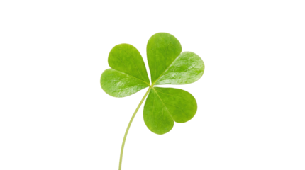 Happy st patricks day a single bright green shamrock with three leaves and a stem on a white background for luck product shot isolated