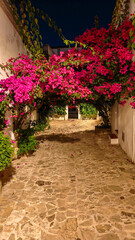 Fototapeta premium White village of Castillo de Castellar de la Frontera at night, Spain