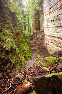 Gorges du loup or Wolfsschlucht on the Mullerthal trail near Echternach in Luxembourg, canyon with sandstone rock formation 