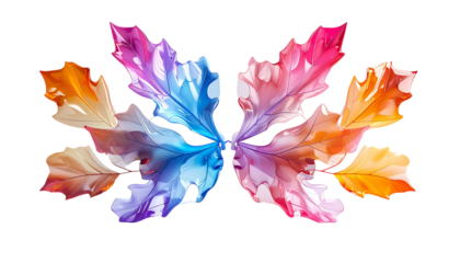 Colorful, translucent leaves arranged symmetrically against a black background