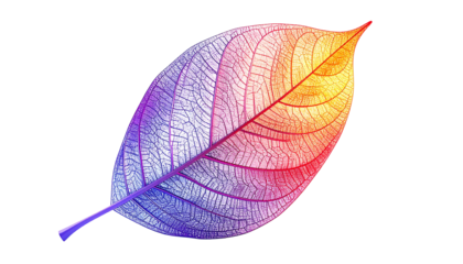 A transparent, colorful leaf against a black background