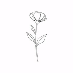 Minimalist floral line drawing elegant botanical illustration white background