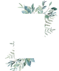 Watercolor floral card with eucalyptus branch. Hand drawn summerl illustration. Wedding border