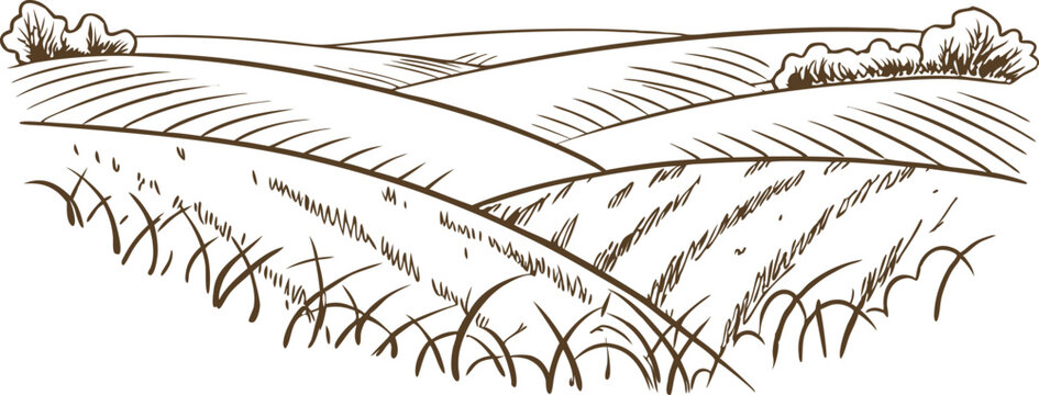 Rural farmland landscape with rolling hills and crops hand drawn illustration